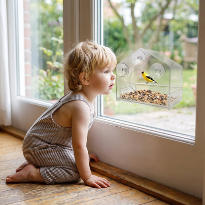 Acrylic Window Bird Feeder
