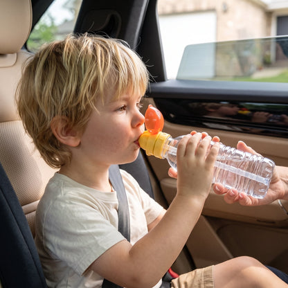 Universal Silicone Bottle Straw Topper (2 Pack)