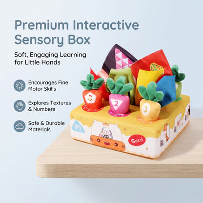 Crinkle Tissue Box Learning Toy
