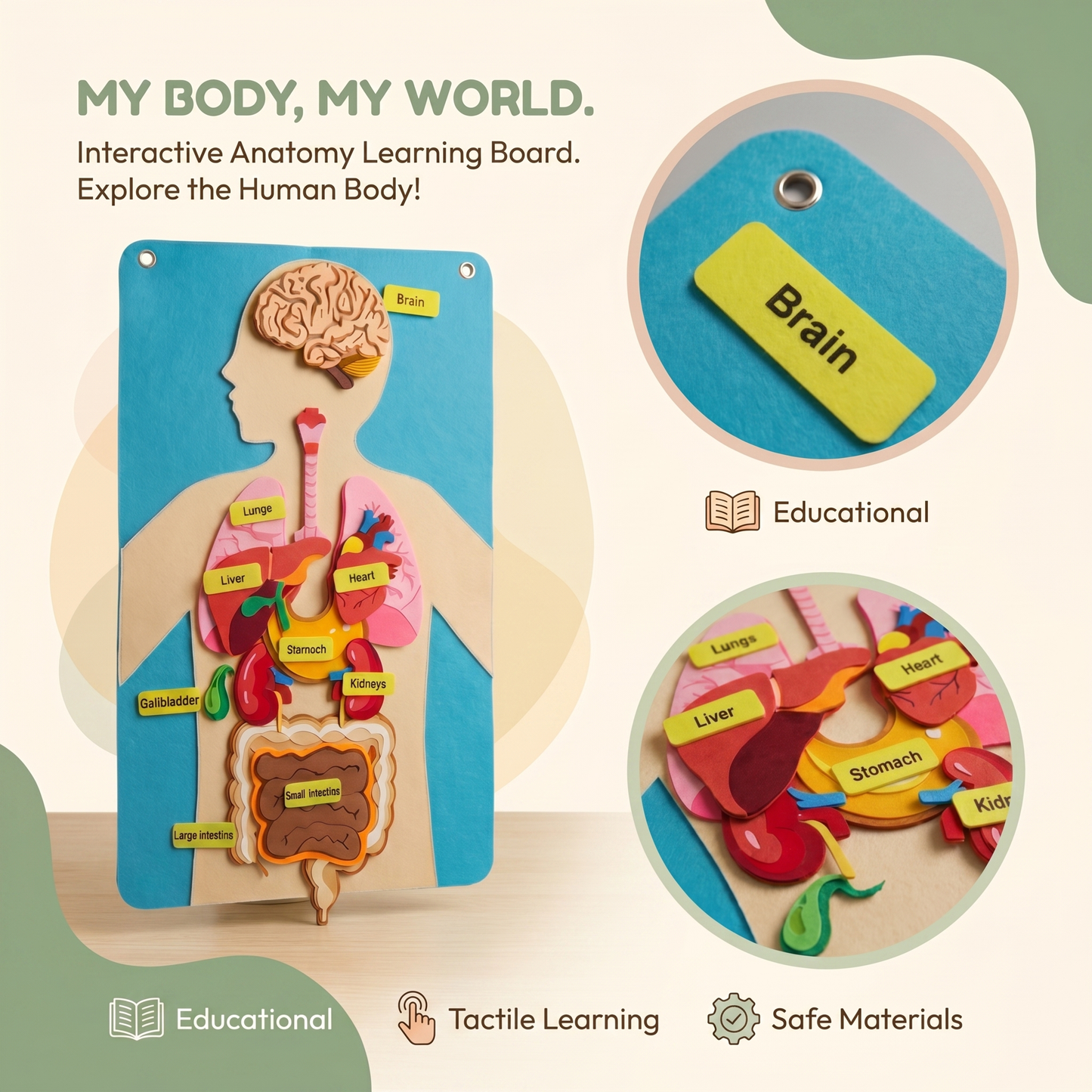 Human Body Felt Board Educational Toy